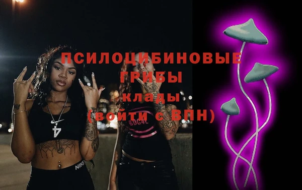 дживик Арсеньев
