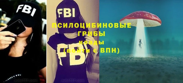дживик Арсеньев