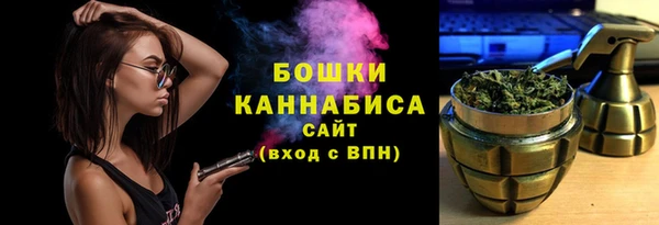 дживик Арсеньев