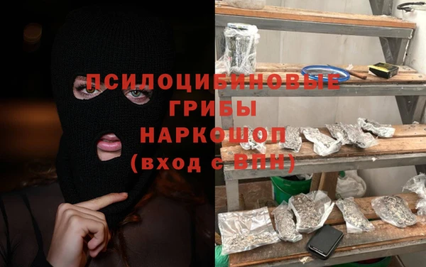 прущие грибы Михайловка