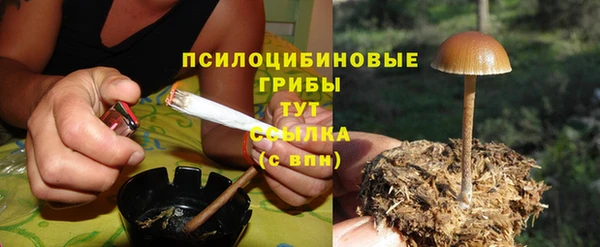 spice Армянск