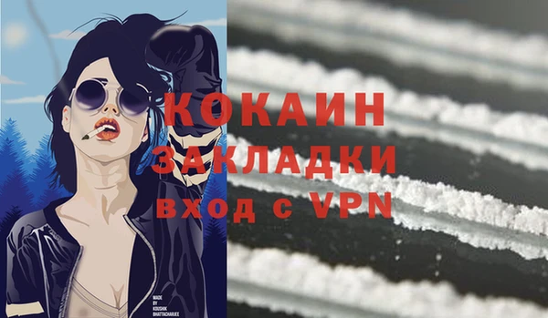 дживик Арсеньев